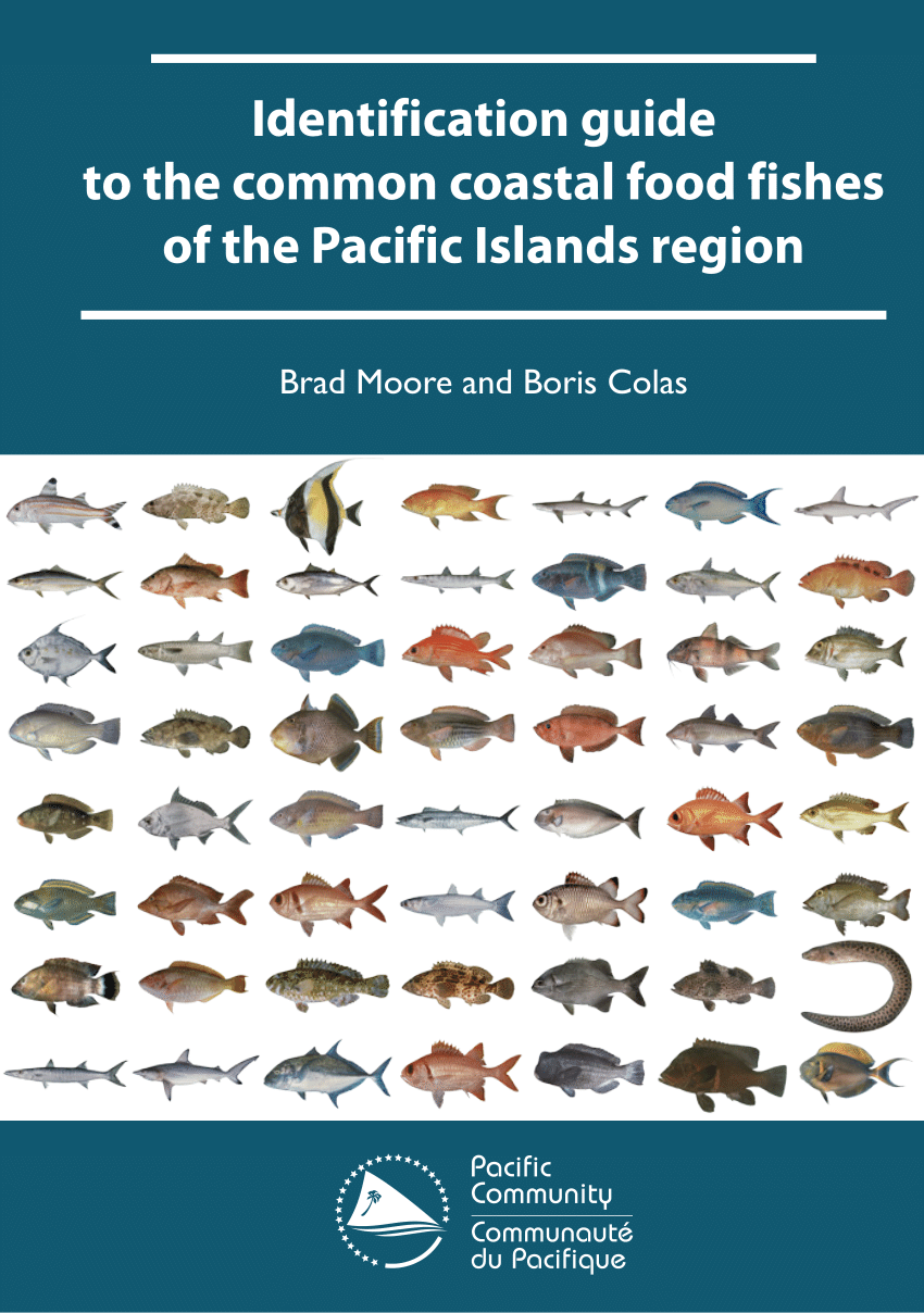 PDF) Identification guide to the common coastal food fishes of the