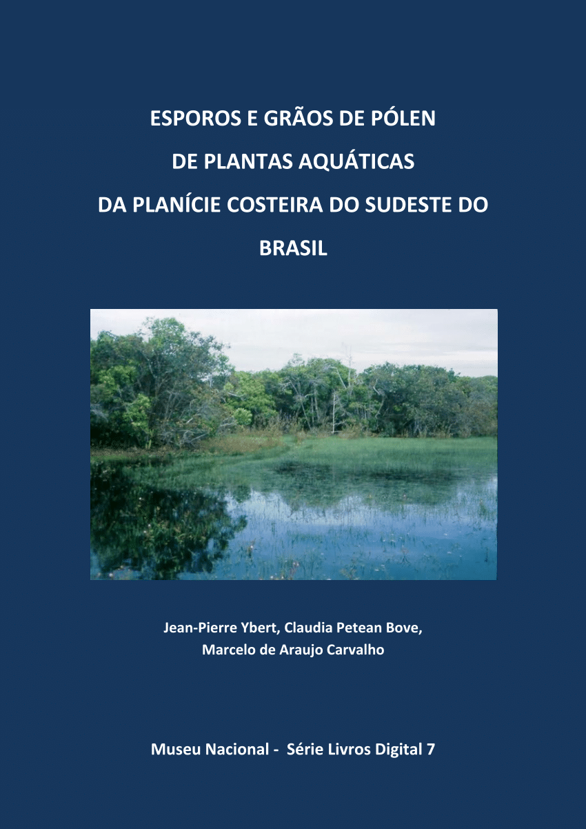 PLANTA PALO DE BRASIL NATURAL VERDE 80 X 24 CM