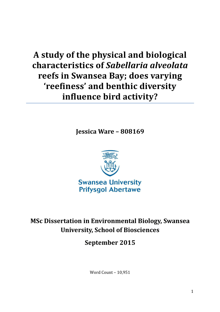 swansea uni dissertation