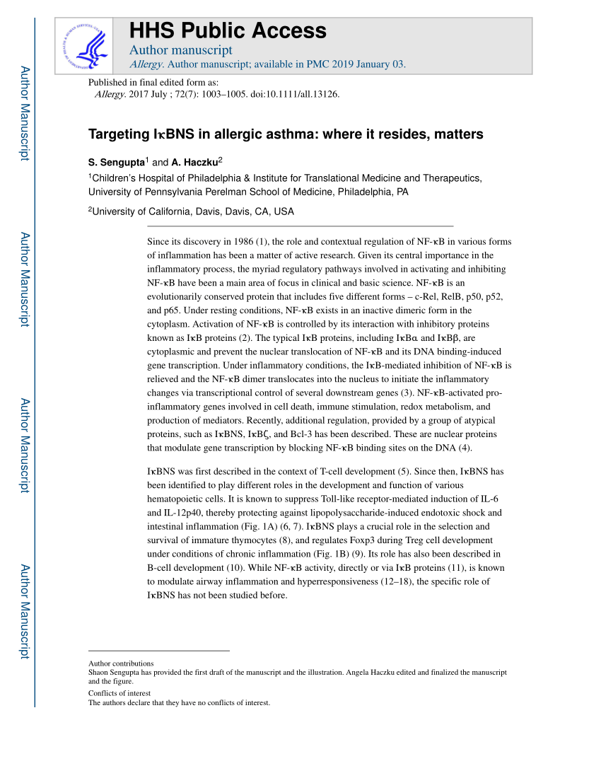 Pdf Targeting Ikbns In Allergic Asthma Where It Resides Matters