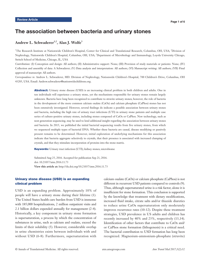 Pdf The Association Between Bacteria And Urinary Stones