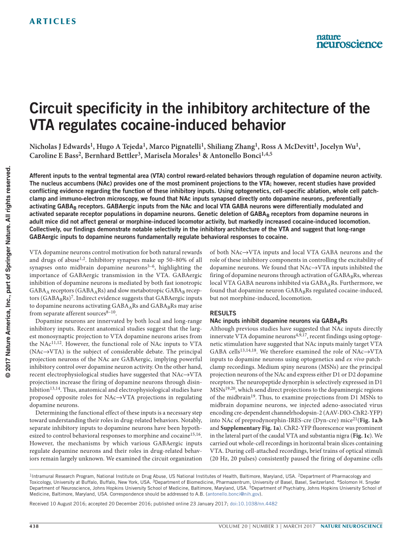 PDF) Circuit specificity in the inhibitory architecture of the VTA