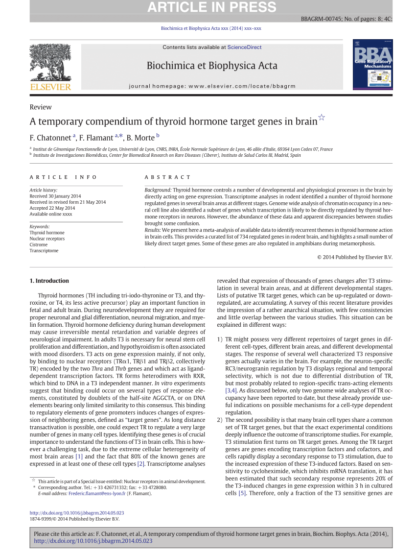 Pdf A Temporary Compendium Of Thyroid Hormone Target Genes In Brain