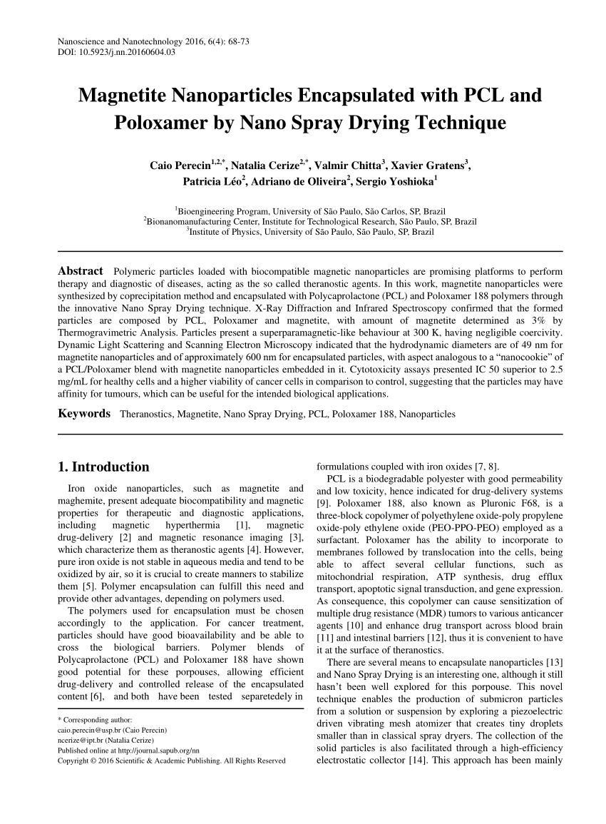 research paper nanotechnology pdf