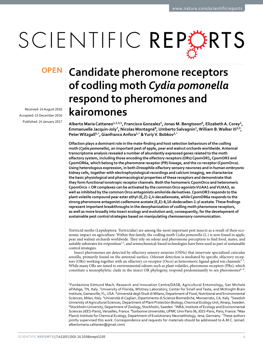 PDF) Candidate pheromone receptors of codling moth Cydia pomonella ...