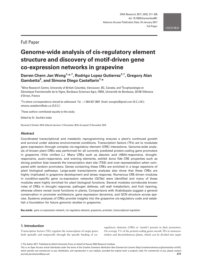 CIS-Discovery Test Discount