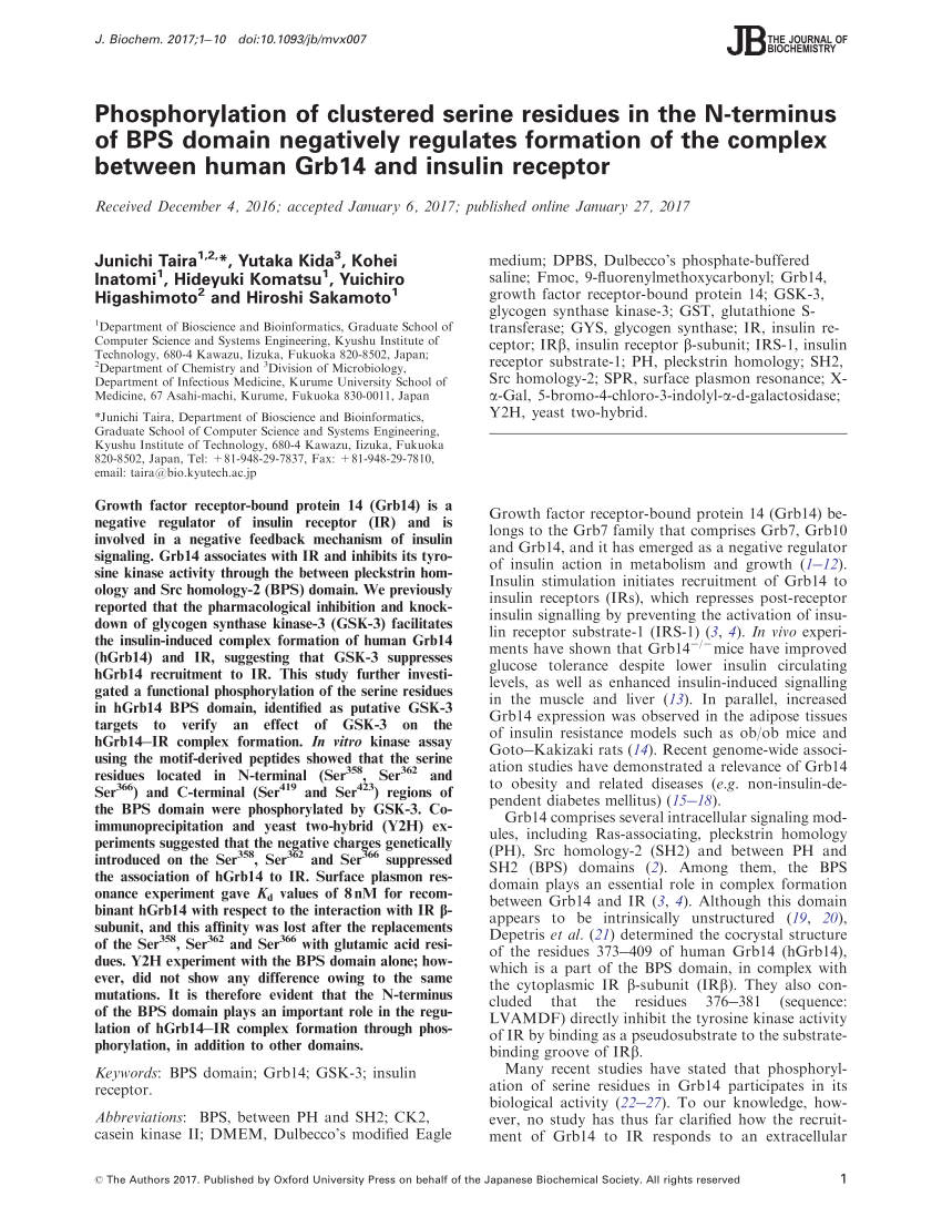 Pdf Phosphorylation Of Clustered Serine Residues In The N Terminus Of Bps Domain Negatively Regulates Formation Of The Complex Between Human Grb14 And Insulin Receptor