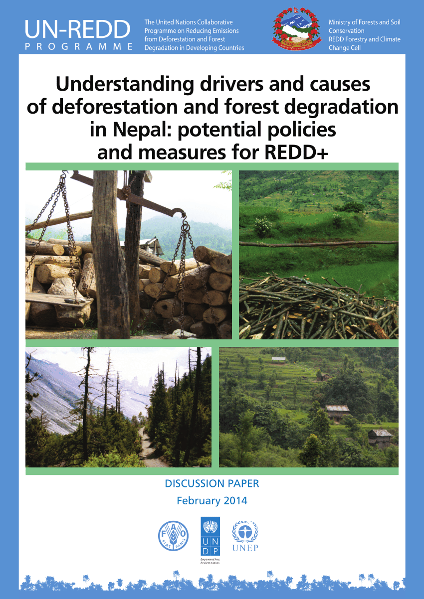 Understanding drivers and causes of deforestation and forest