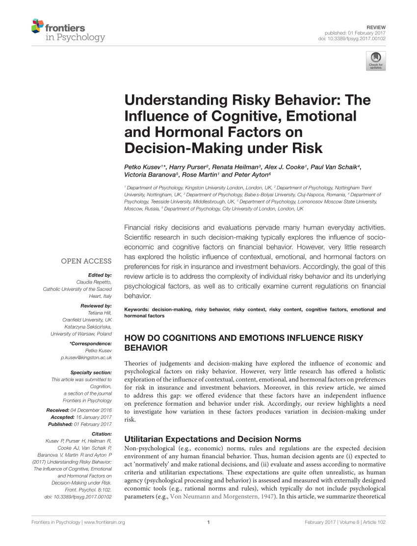 risk behavior literature review