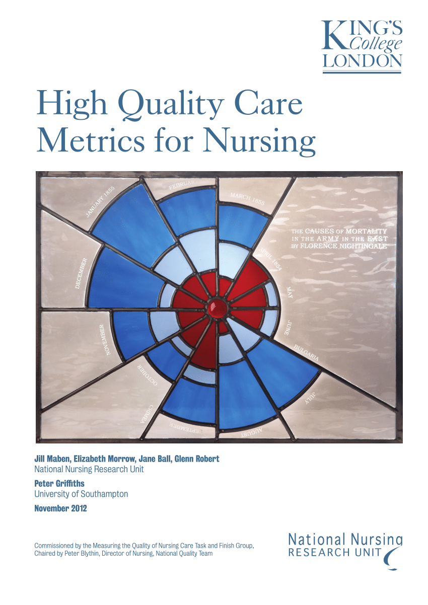 Pdf High Quality Care Metrics For Nursing - 