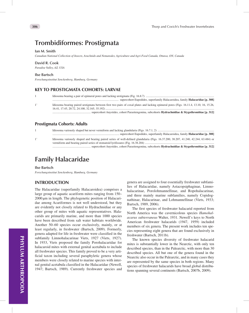 (PDF) Chapter 16. Phylum Arthropoda