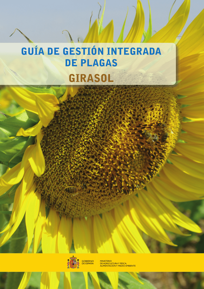 PDF) Guía gestión integrada de plagas en Girasol (España)