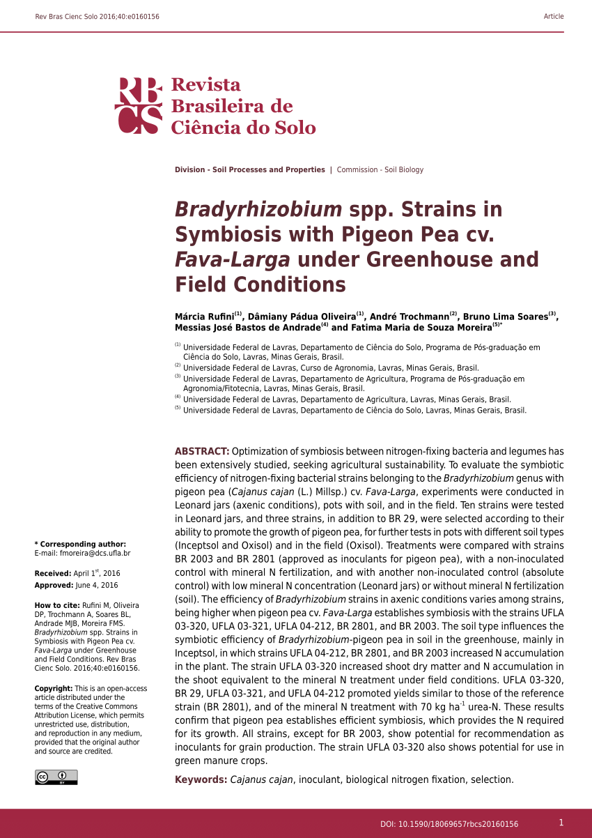 PDF) Bradyrhizobium spp. Strains in Symbiosis with Pigeon Pea cv