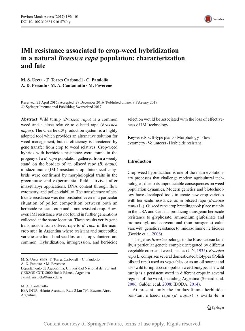 Imi Resistance Associated To Crop Weed Hybridization In A Natural Brassica Rapa Population Characterization And Fate Request Pdf