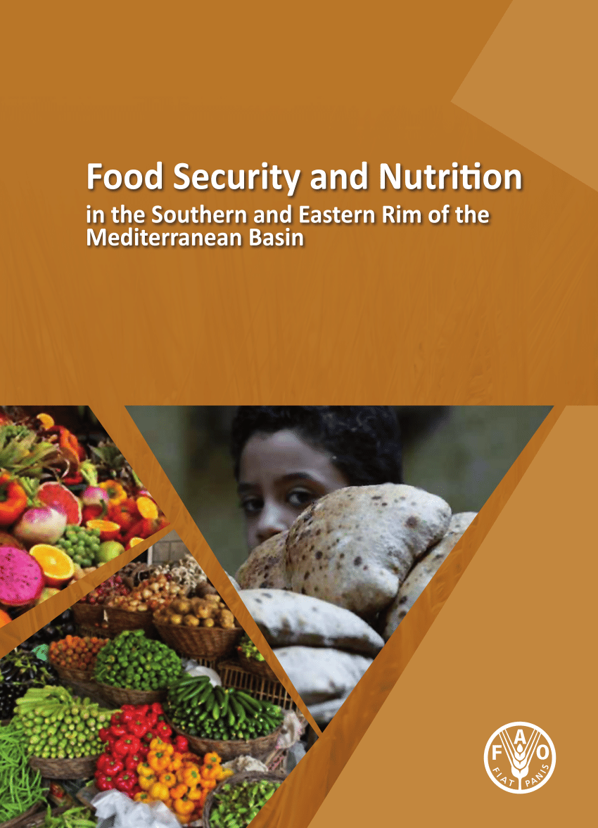 research food security nutrition