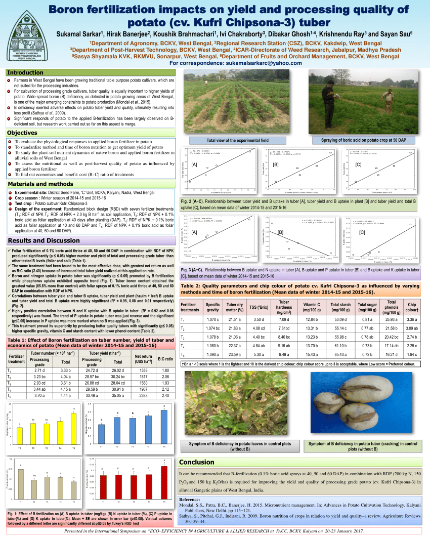 (PDF) Boron fertilization impacts on yield and processing quality of ...