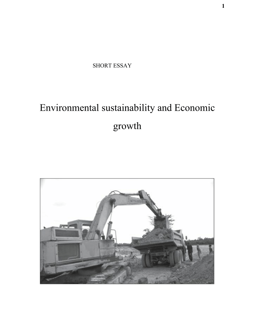 essay in environmental sustainability