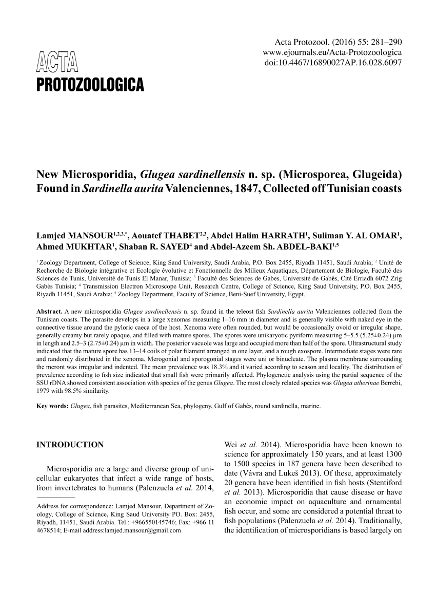 Details of the ultrastructural morphology of Glugea 