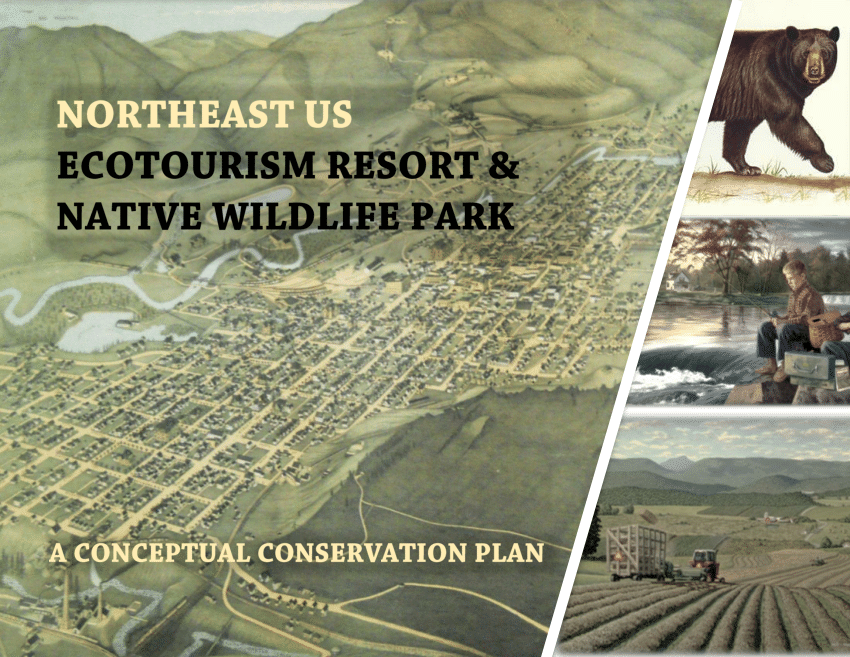 conceptual framework for wildlife tourism