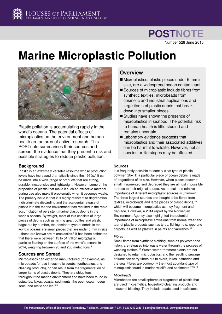 research papers on plastic pollution