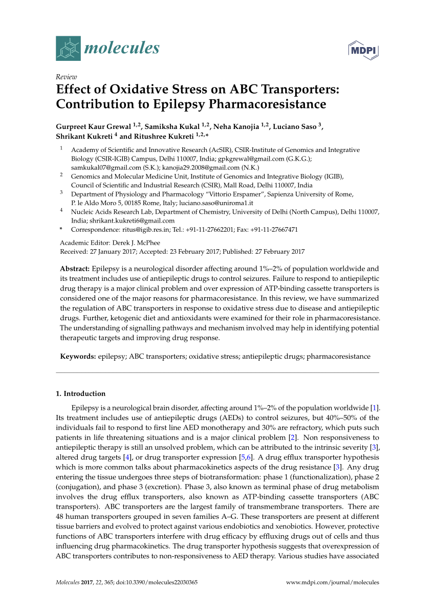 Pdf Effect Of Oxidative Stress On Abc Transporters Contribution To Epilepsy Pharmacoresistance