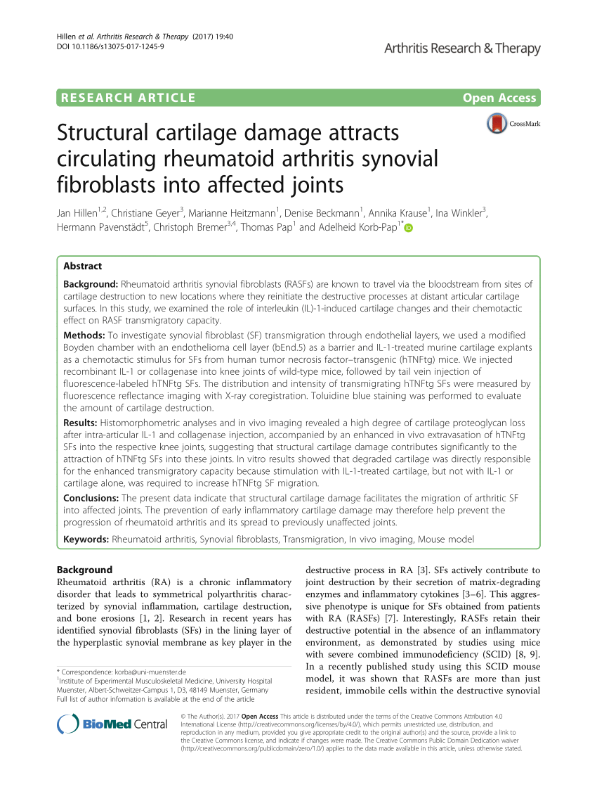 mørk lanthan bryder daggry PDF) Structural cartilage damage attracts circulating rheumatoid arthritis  synovial fibroblasts into affected joints