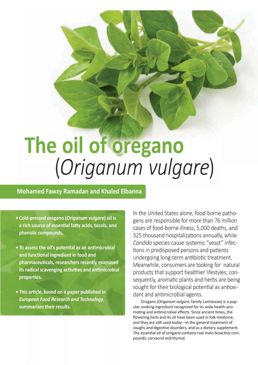 research study about oregano