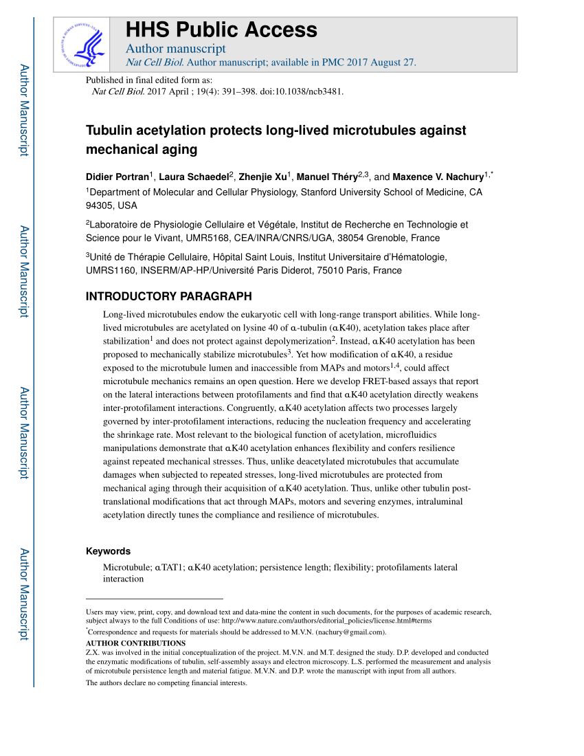 Pdf Tubulin Acetylation Protects Long Lived Microtubules Against Mechanical Aging