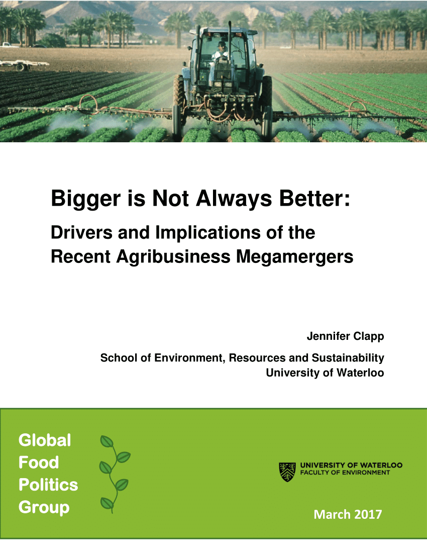PDF) Bigger is Not Always Better: Drivers and Implications of the ...
