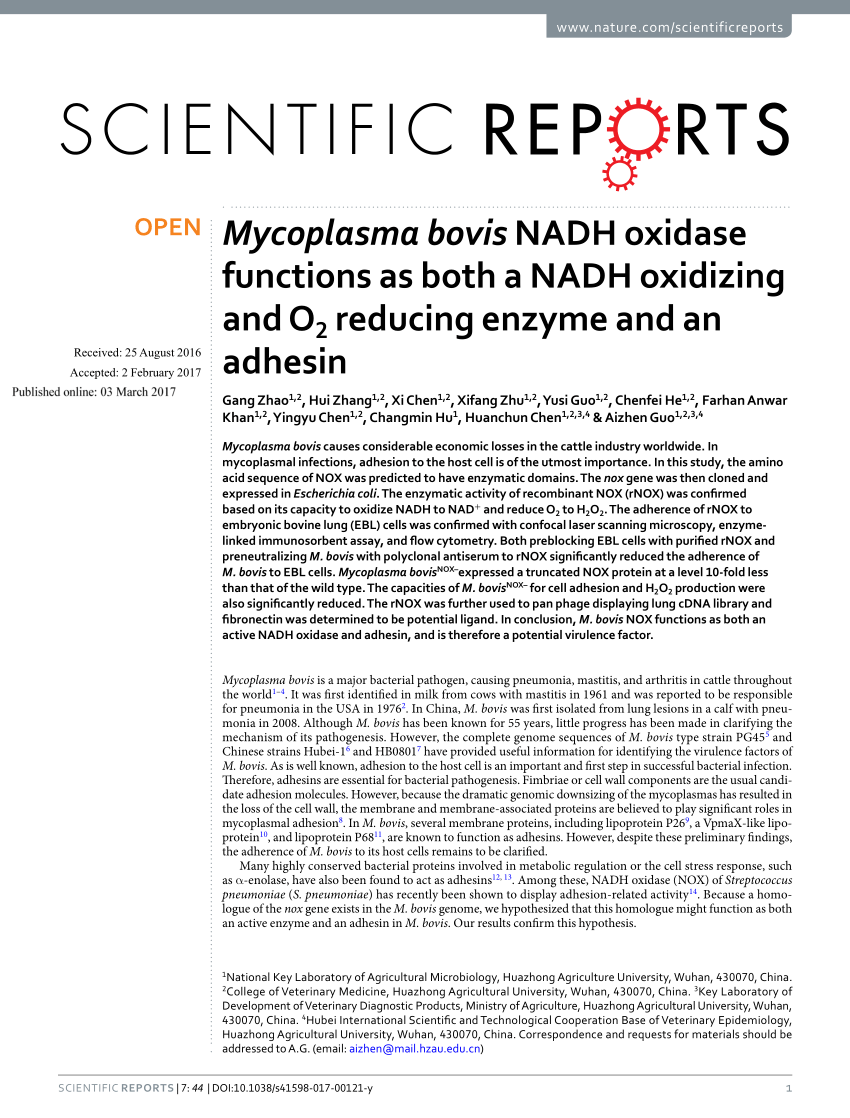 Pdf Mycoplasma Bovis Nadh Oxidase Functions As Both A Nadh Oxidizing