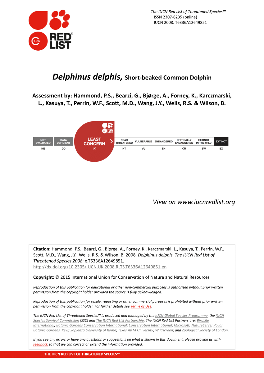 Pdf Delphinus Delphis