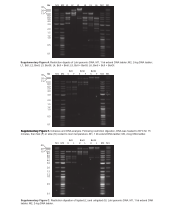 Roche Restriction Enzymes Buffer Chart