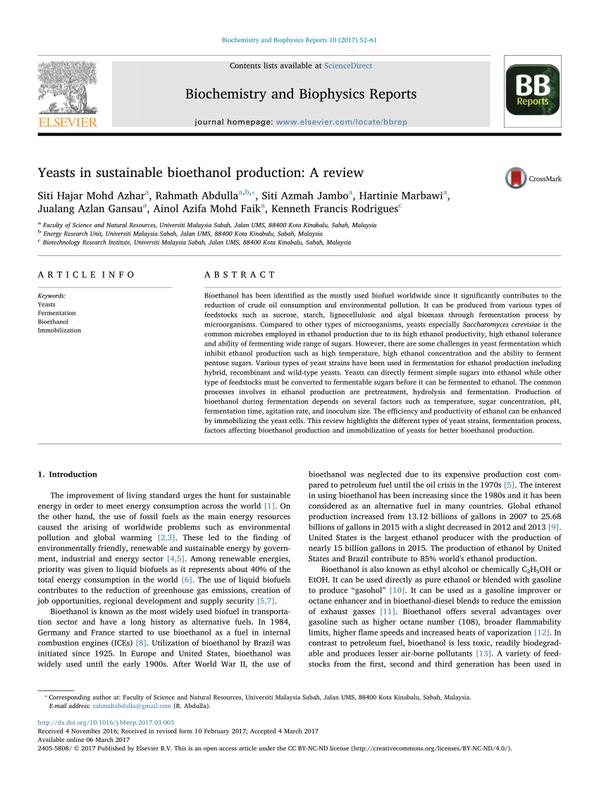 Literature Review Of Bioethanol