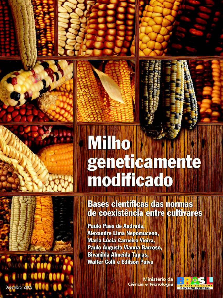 Melhoramento Genético Do Milho, PDF, Milho