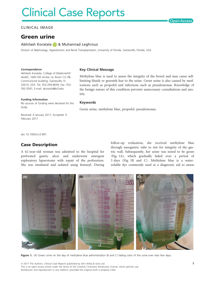 pdf-green-urine