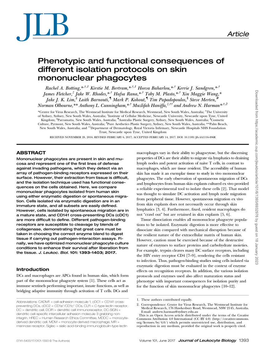 Pdf Phenotypic And Functional Consequences Of Different Isolation Protocols On Skin 1284