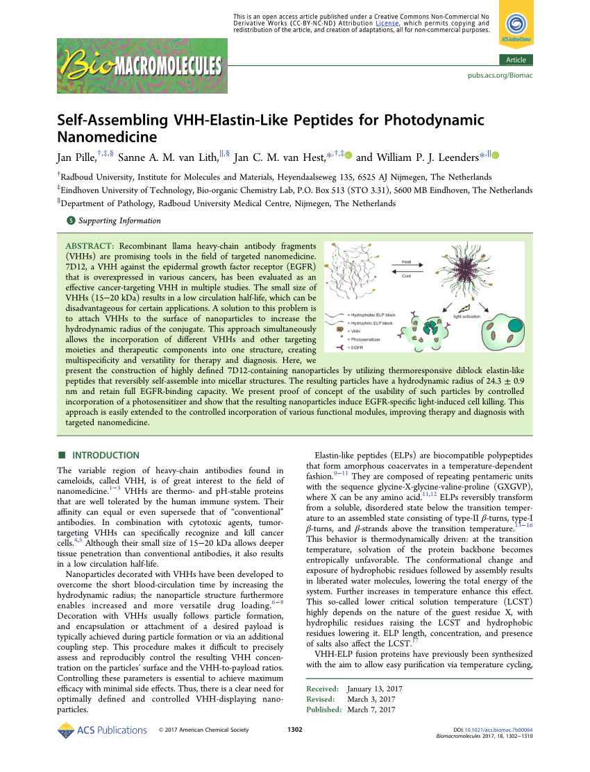 Self-Assembling VHH-Elastin-Like Peptides for Photodynamic Nanomedicine