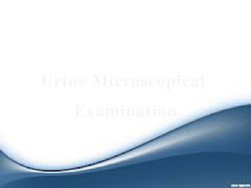 (PDF) Urine Microscopic Examination