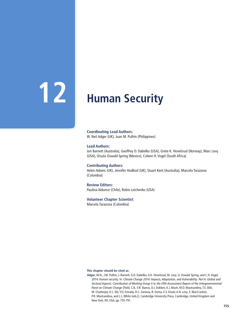 Pdf Human Security