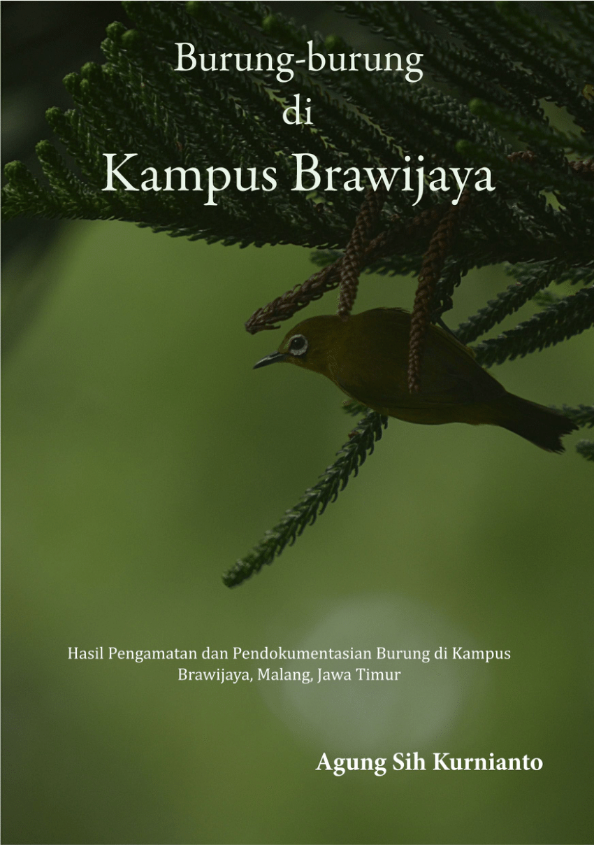 PDF) Burung-burung di Kampus Brawijaya