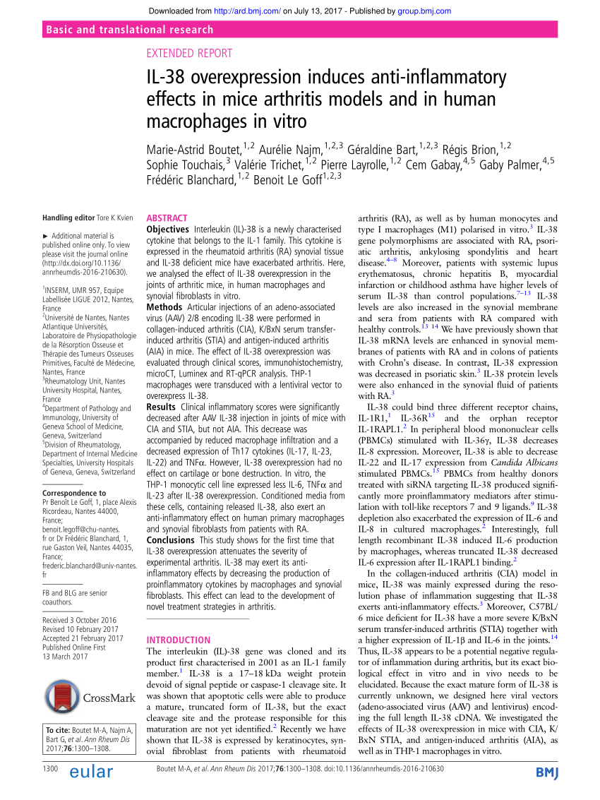 Interaction of IL-38 and DSTN in HEK293T cells. Association of IL-38