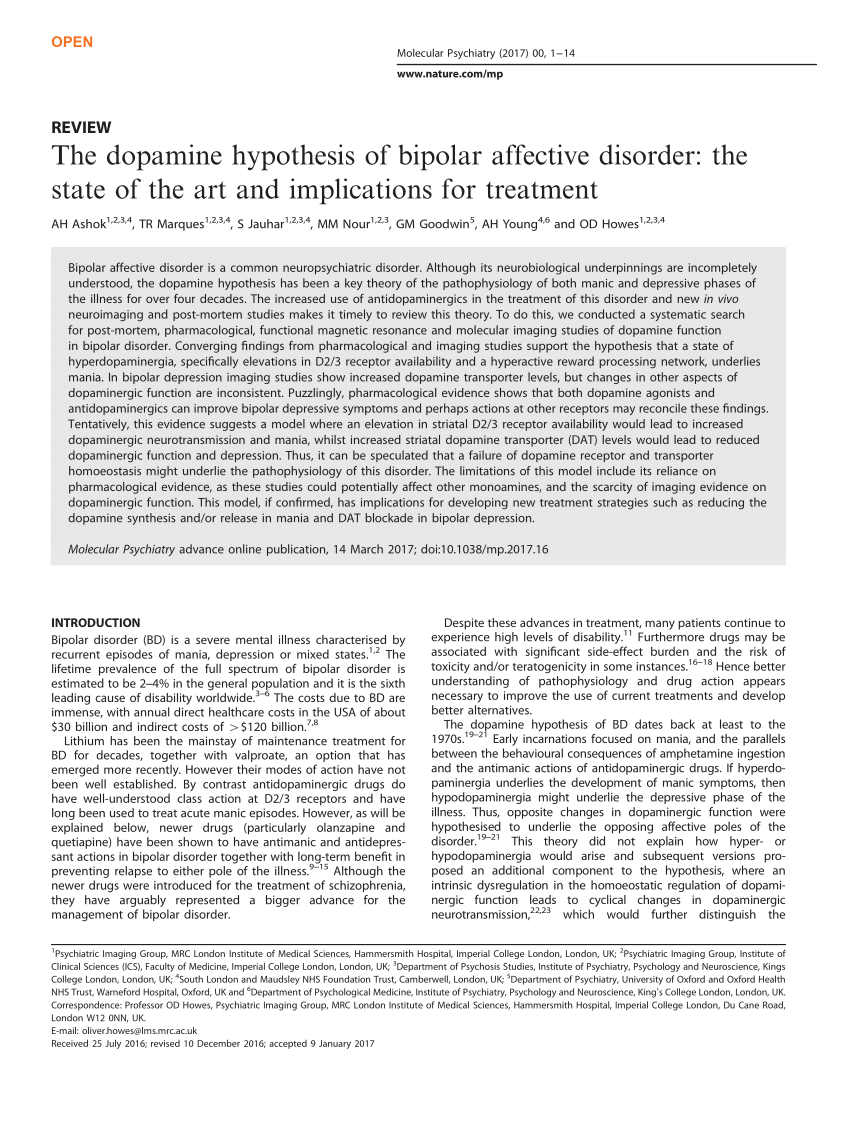 bipolar depression research paper