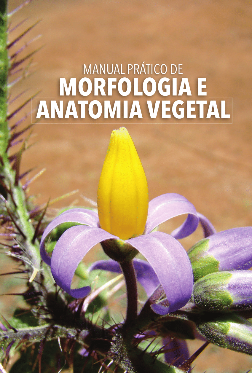 Pdf Manual Prático De Morfologia E Anatomia Vegetal 3172