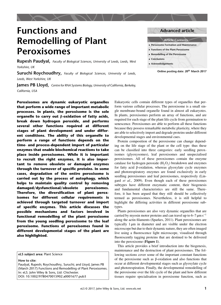 (PDF) Functions and Remodelling of Plant Peroxisomes