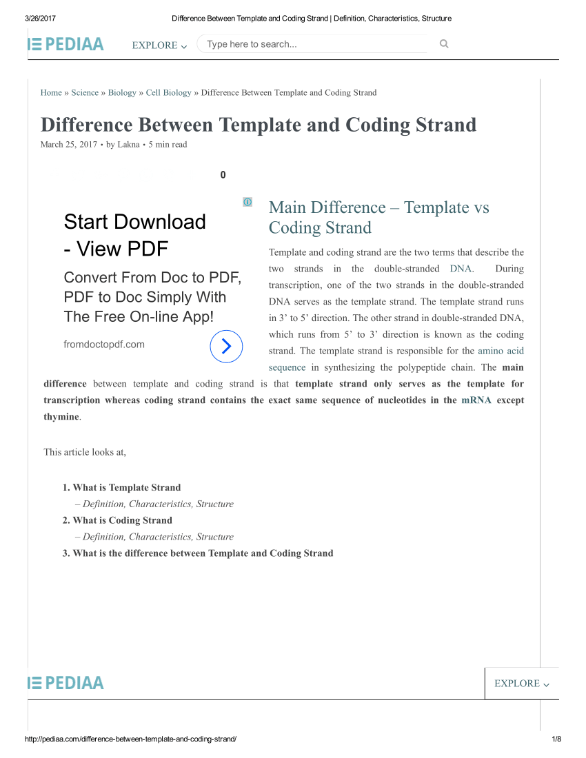  PDF Difference Between Template And Coding Strand