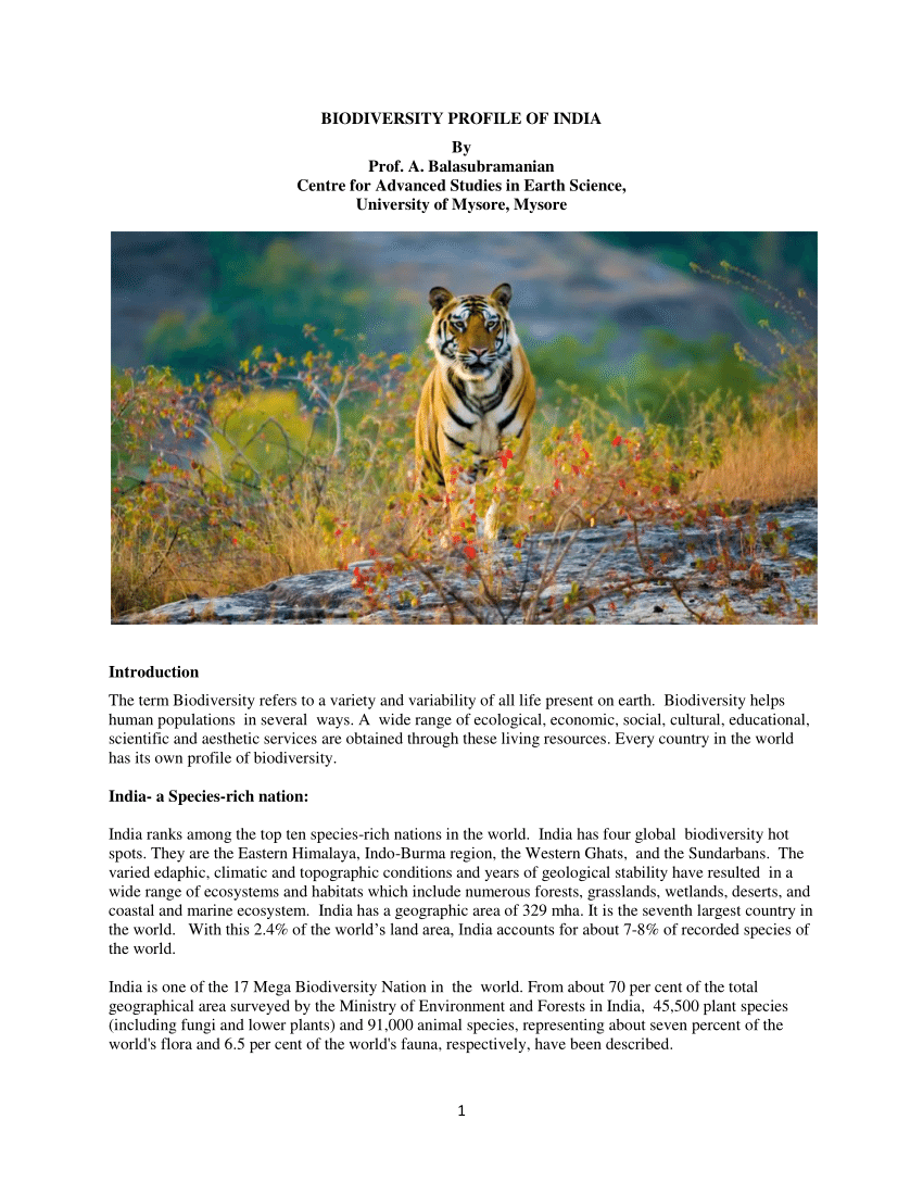 write an essay on biodiversity in india