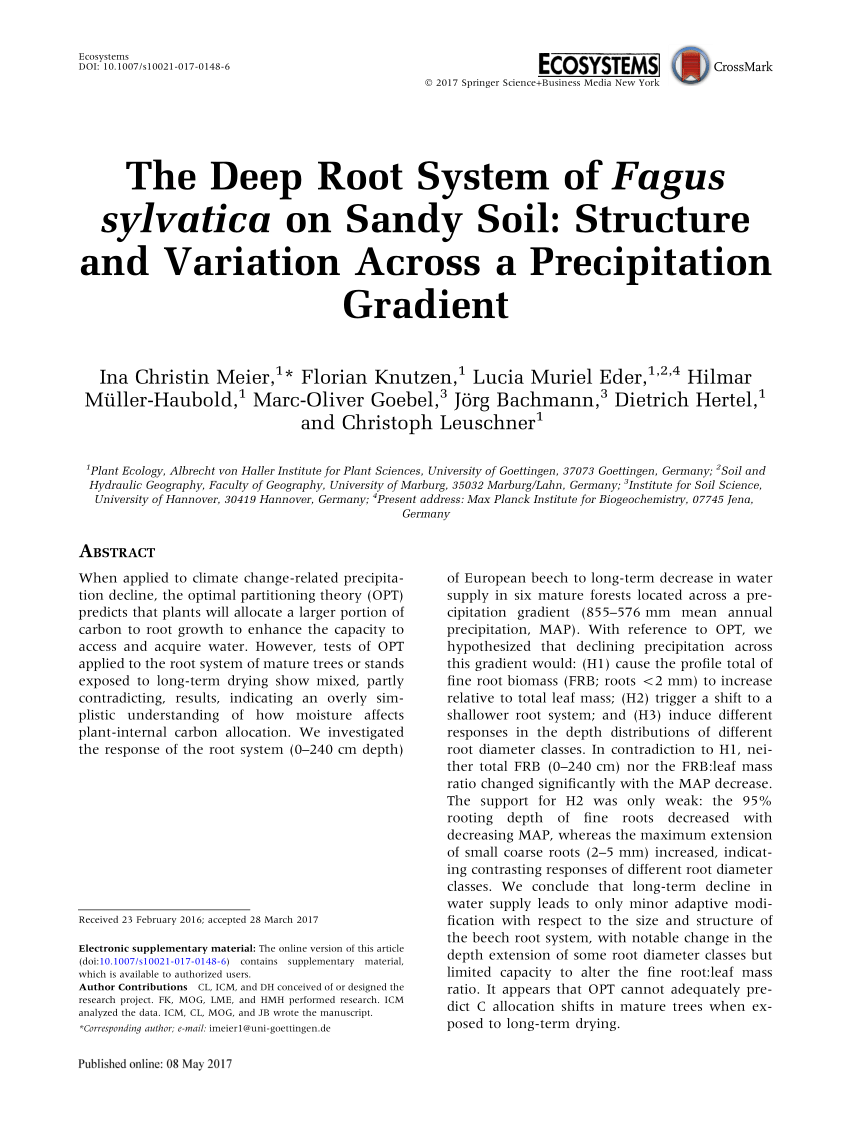 Pdf The Deep Root System Of Fagus Sylvatica On Sandy Soil Structure And Variation Across A Precipitation Gradient