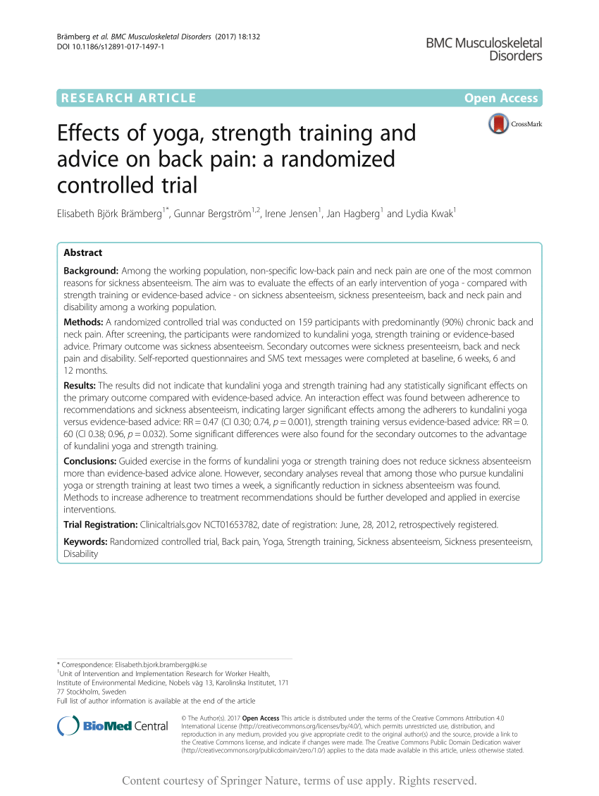 Core Stability Exercises for Low Back Pain: A Meta-Review - Yoga Research  and Beyond