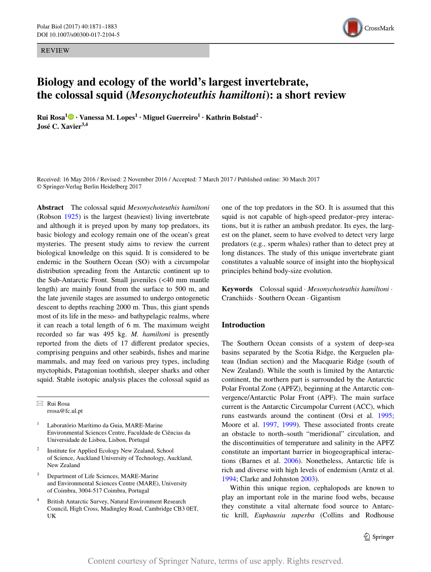 Biology and ecology of the world’s largest invertebrate, the colossal