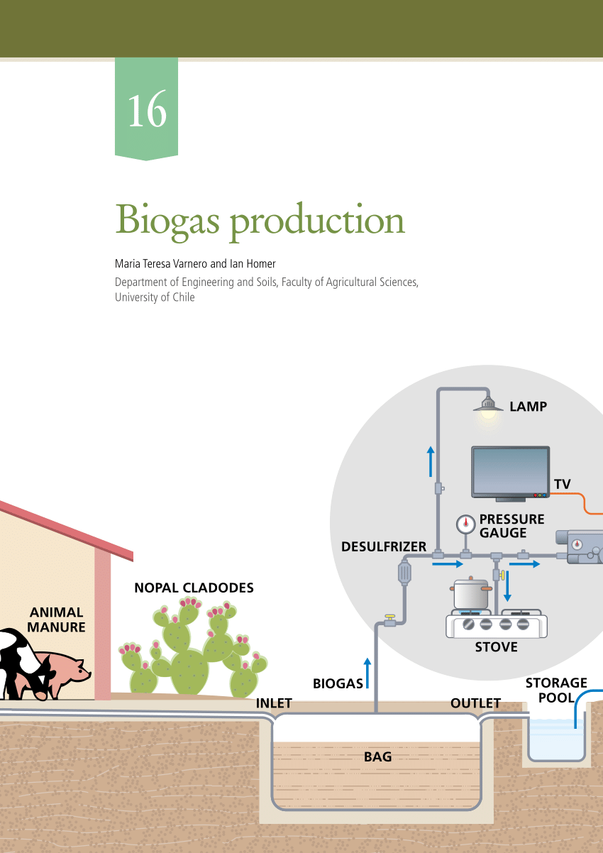 business plan for biogas production pdf